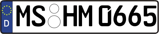 MS-HM0665