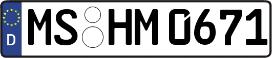 MS-HM0671