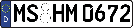 MS-HM0672