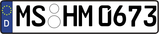 MS-HM0673