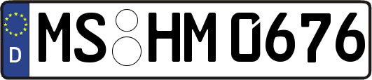 MS-HM0676
