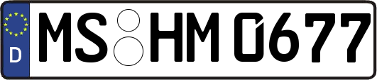 MS-HM0677
