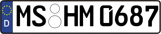 MS-HM0687