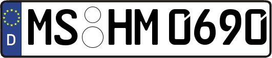 MS-HM0690