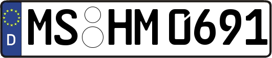 MS-HM0691