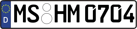 MS-HM0704
