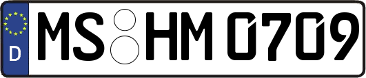 MS-HM0709