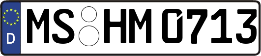 MS-HM0713