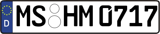 MS-HM0717