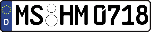MS-HM0718