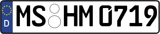 MS-HM0719