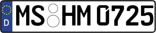 MS-HM0725