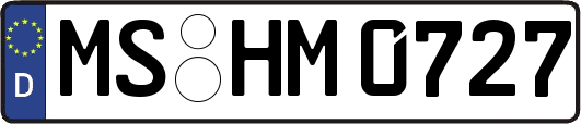 MS-HM0727