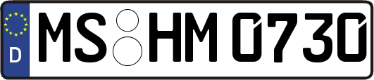 MS-HM0730