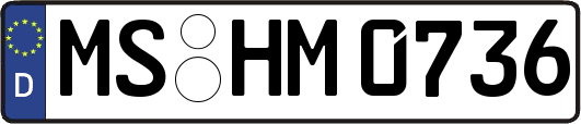 MS-HM0736