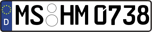 MS-HM0738