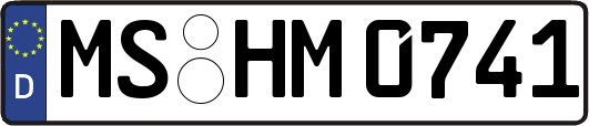 MS-HM0741