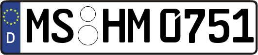MS-HM0751