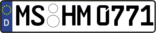 MS-HM0771
