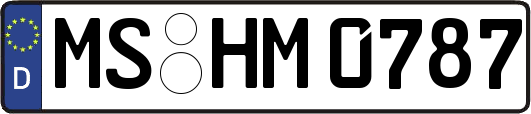 MS-HM0787