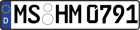 MS-HM0791
