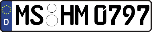 MS-HM0797