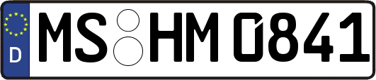 MS-HM0841