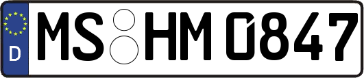 MS-HM0847