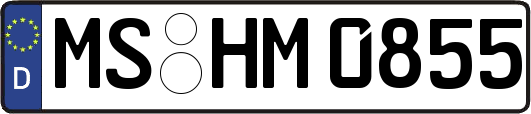MS-HM0855