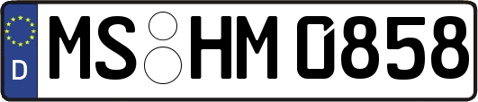 MS-HM0858