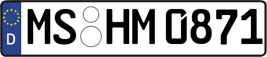 MS-HM0871