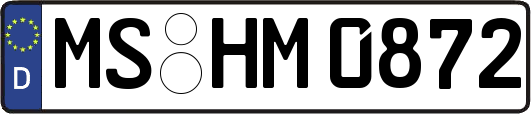 MS-HM0872