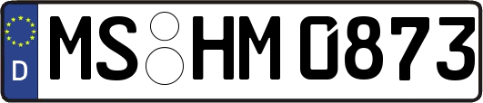 MS-HM0873
