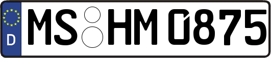 MS-HM0875