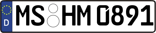 MS-HM0891