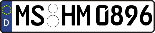 MS-HM0896