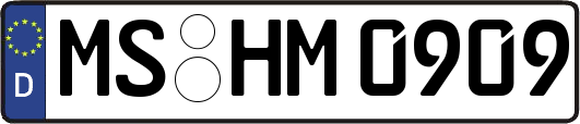 MS-HM0909