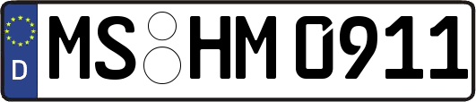 MS-HM0911