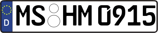 MS-HM0915
