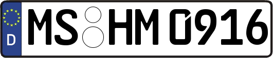 MS-HM0916