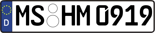 MS-HM0919