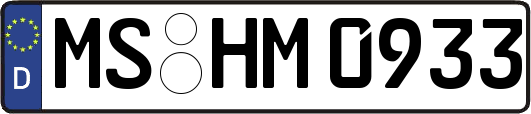 MS-HM0933