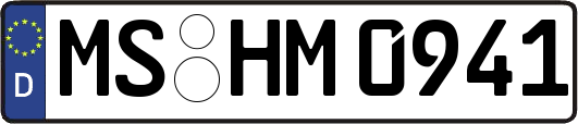 MS-HM0941