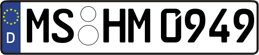 MS-HM0949