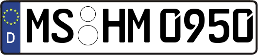 MS-HM0950