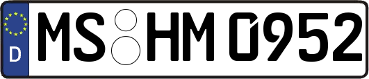 MS-HM0952