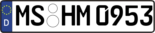 MS-HM0953