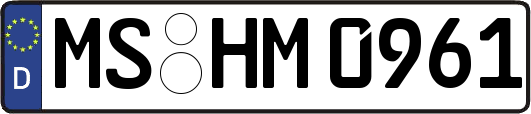 MS-HM0961