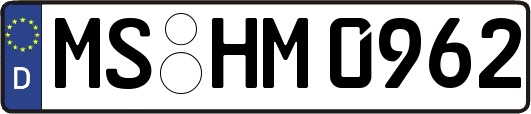 MS-HM0962