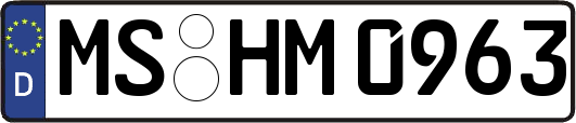MS-HM0963